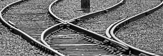 tracks split Replicated Sites Detach from MLM Software Suites 