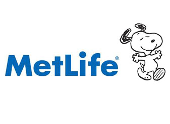 metilife review 15 Examples of Comprehensive Brand Guidelines