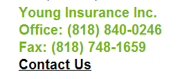 directcta On Site Calls to Action for Insurance Agents